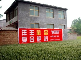 宣城如何让墙体广告展现最大化效果