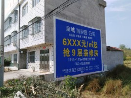 宣城墙体广告质量分析