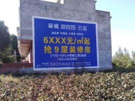 宣城品牌公司青睐的墙体广告