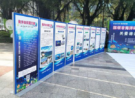 宣城KT板的种类和知识。